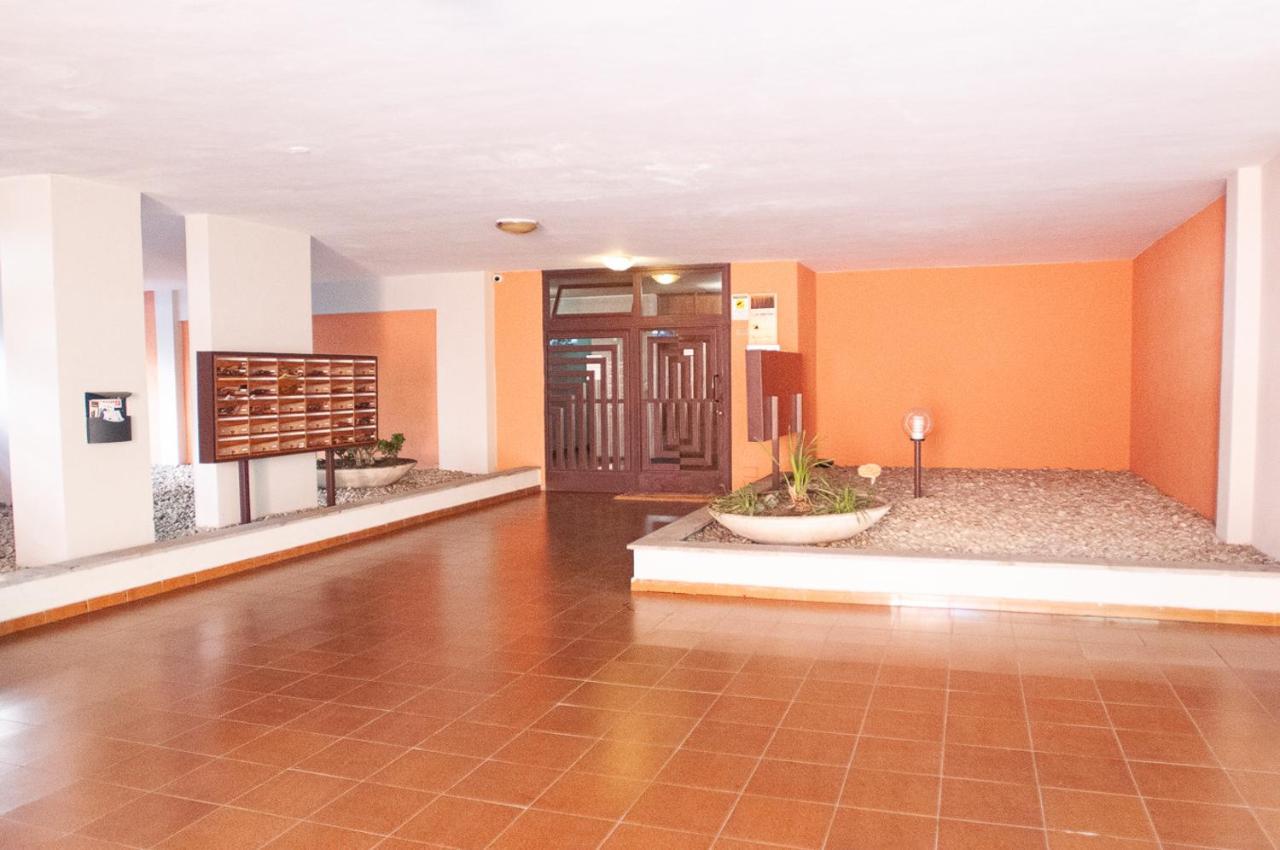 Labanca'S House Daire Roma Dış mekan fotoğraf